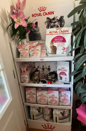 Krmíme Royal Caninem